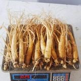  Sâm Tươi Hàn Quốc Hầm Gà 