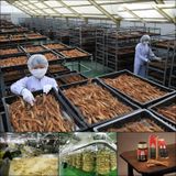  Hồng Sâm Củ Khô Hộp Thiếc Pocheon Hộp 300gr 