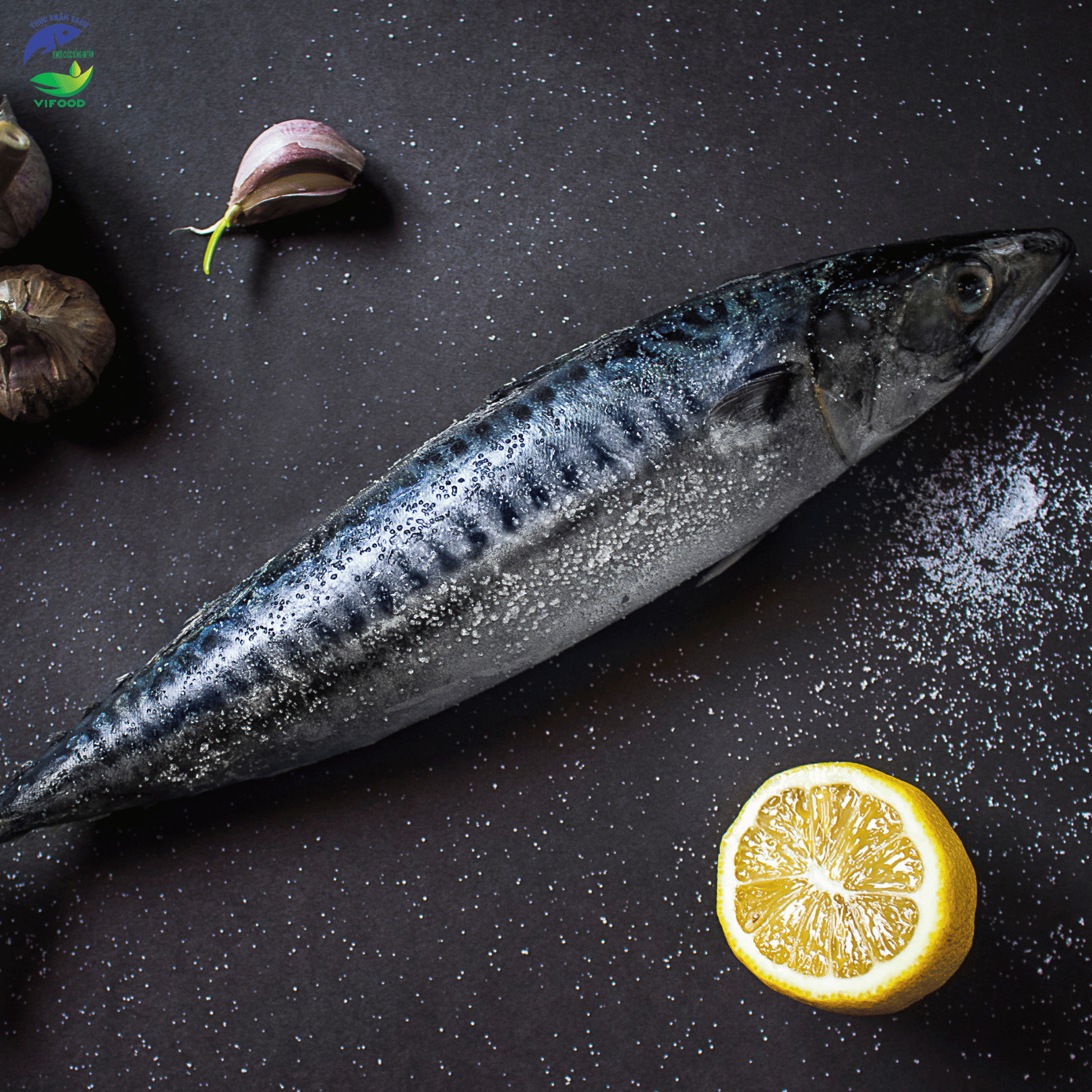 Cá Thu Mùa Câu Tay