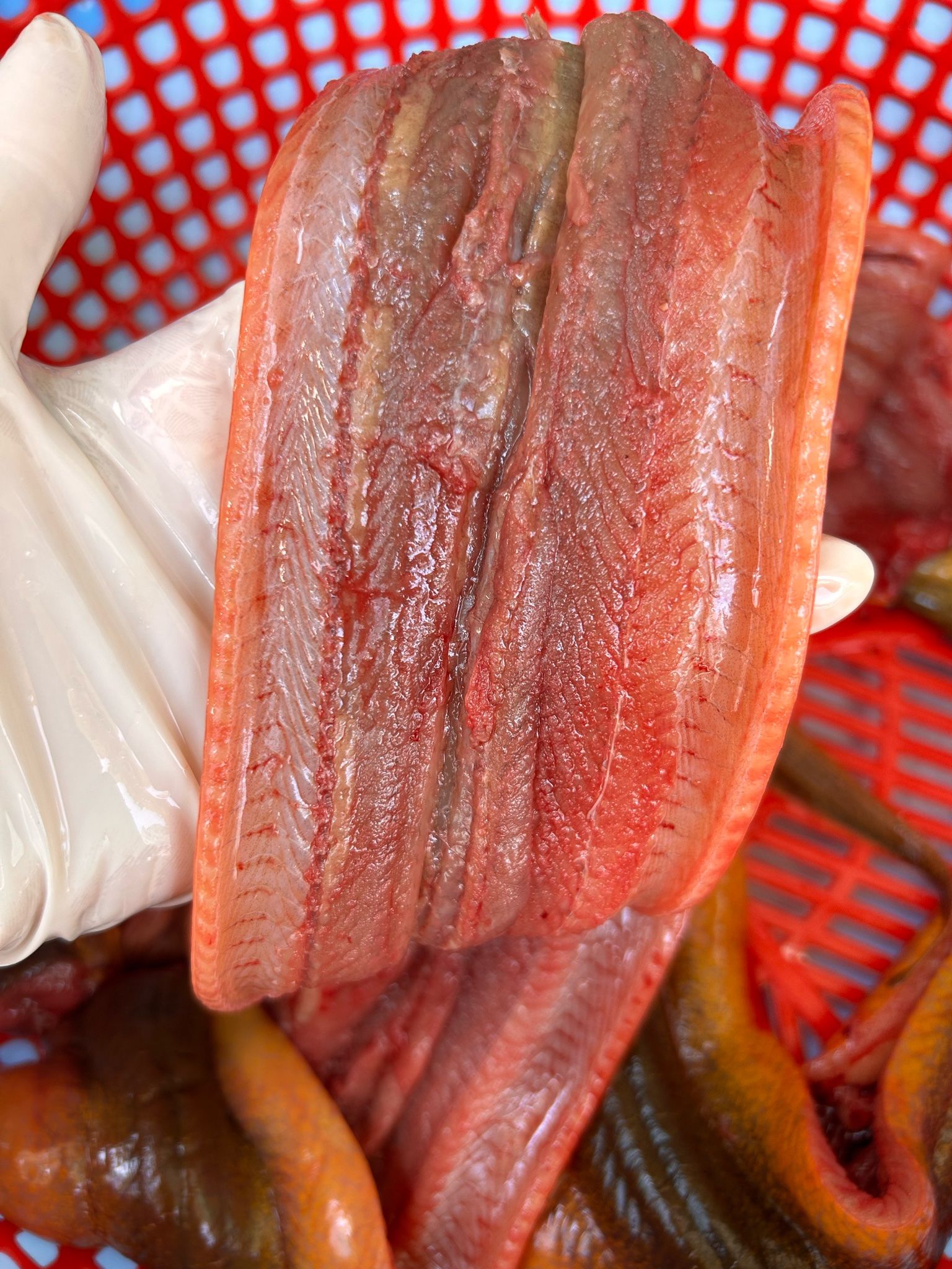 Lươn Đồng Rút Xương