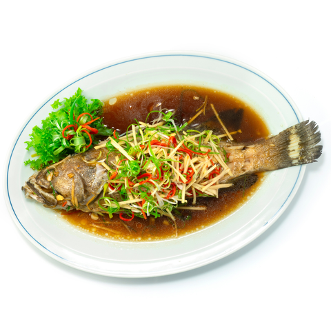  Cá Mú Biển Quảng Ngãi 