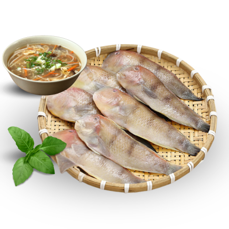 Cá Mó Tươi Ngon
