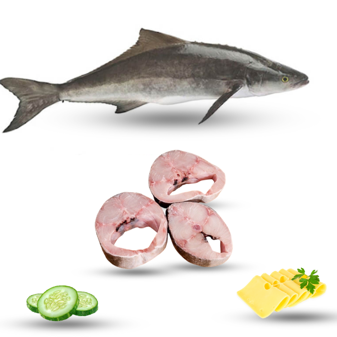 Cá Bớp Biển Quảng Ngãi