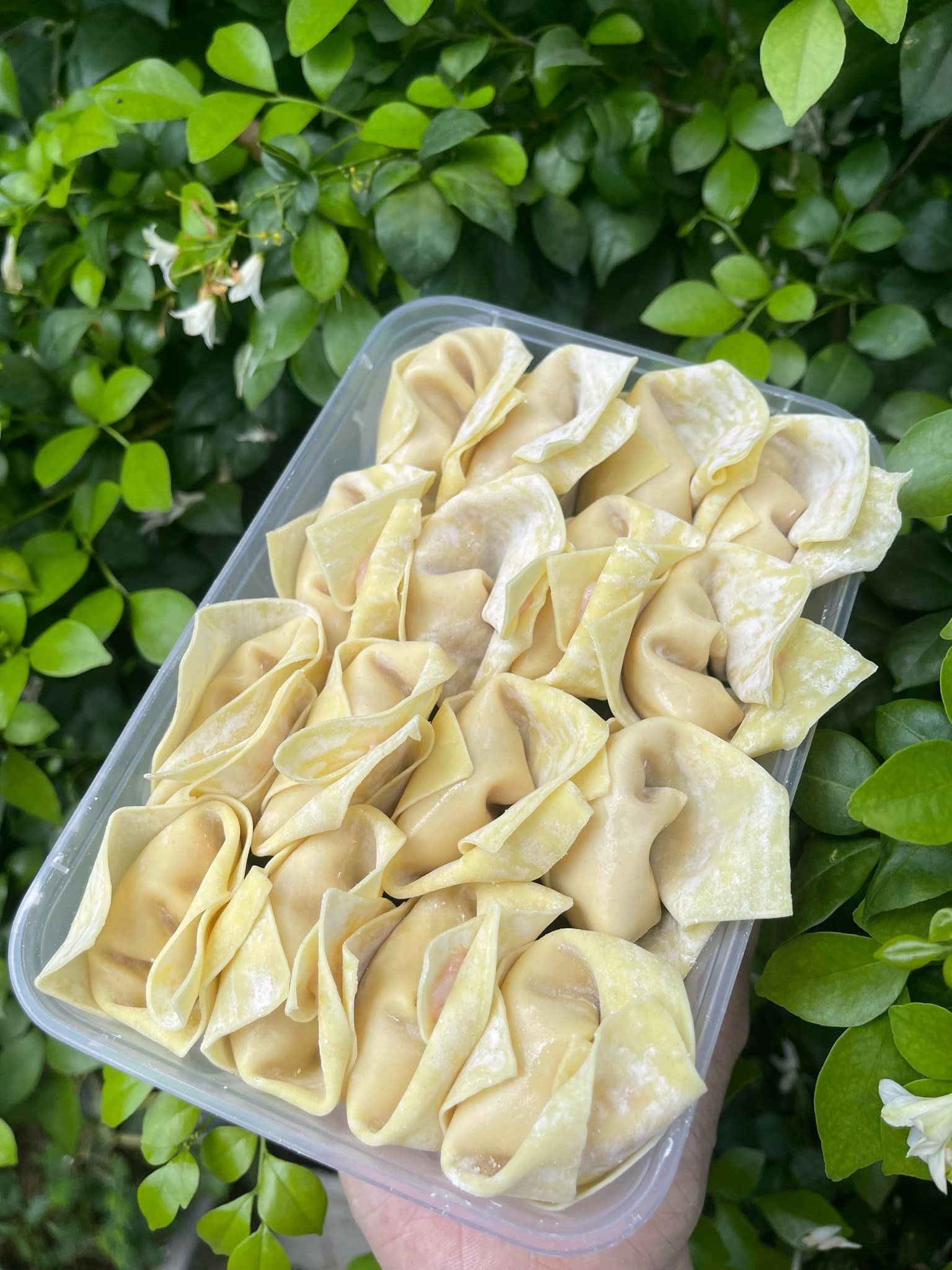 Hoành Thánh Nhân Thịt 500gr