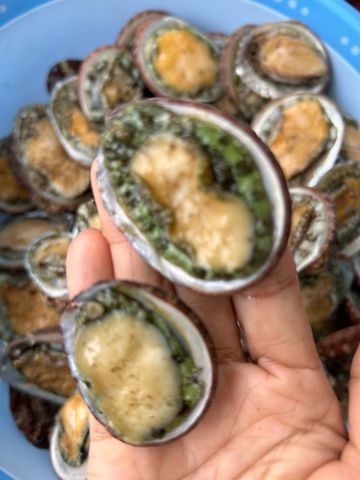  BÀO NGƯ BIỂN QN 