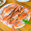 Thịt Ghẹ Bóc Sẵn Vifood 500Gr