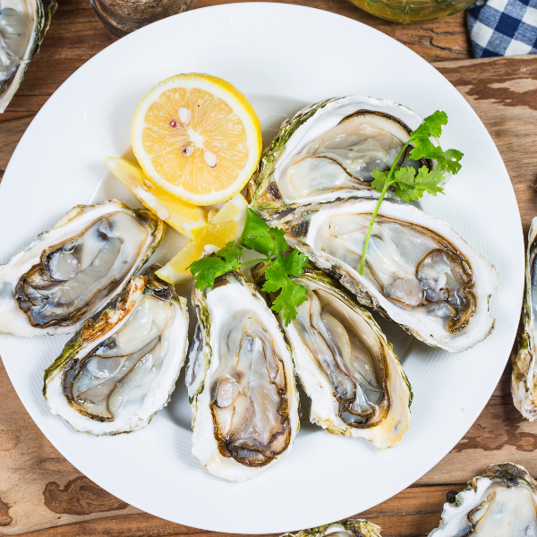 Hàu Sữa Hộp 500gr