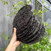 Rong Biển Khô Vifood