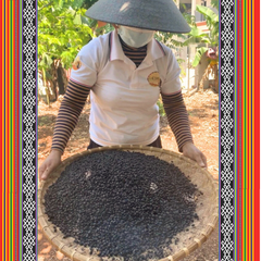 Cà Phê Đặc Sản Ê Đê Café Khói Nguyên Chất  - Túi 200gram