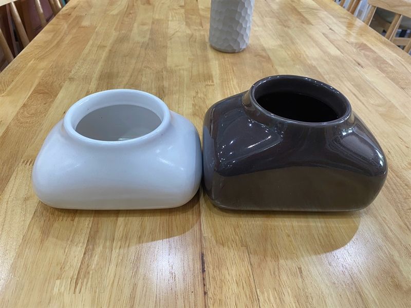 Chậu dẹp ( 1 trắng sứ, 1 màu sẫm)