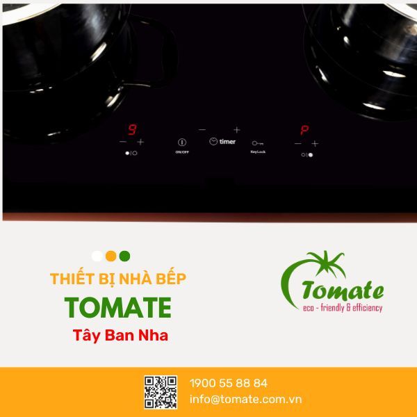 Bếp từ Tomate 02I-7T
