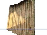  Cây trúc tròn thẳng dài 