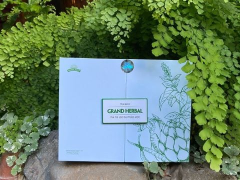 TRÀ ĐẠI THẢO MỘC NGỌC DUY CAO CẤP 100 TÚI LỌC
