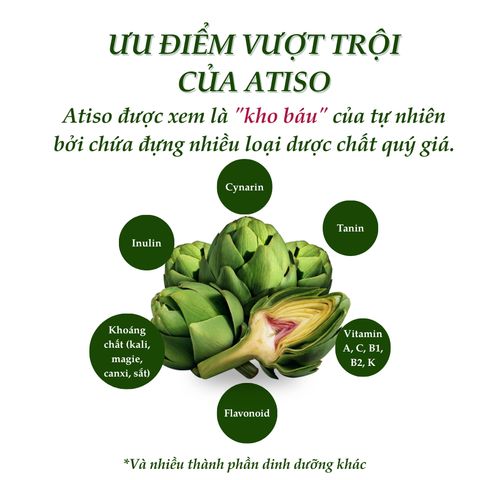Cao atiso Ngọc Duy Đà Lạt 100% lá atiso tươi thanh nhiệt, bảo vệ gan, hạ mỡ máu, lợi tiêu hoá 200gr