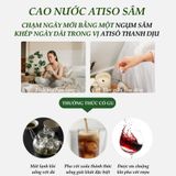 Cao Nước Atiso Sâm Ngọc Duy - Hộp quà tặng 10 ống x 10ml - Đề kháng, thanh lọc, thải độc