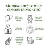 CAO ATISO NGỌT ĐÀ LẠT NGỌC DUY