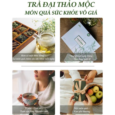 Trà Đại Thảo Mộc - Quà tặng cao cấp doanh nhân - Tốt cho sức khoẻ, tinh thần, đề kháng - 100 túi lọc