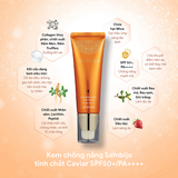 [Tặng TDC Eveline] Kem chống nắng SAMBIJO nâng tông trắng hồng tinh chất Caviar SPF50+/PA++++ 40ML