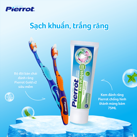 Kem đánh răng Pierrot chống hình thành mảng bám 75ML