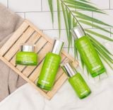 [Tặng bông Skinlovers 150M] Kem dưỡng Orjena chiết xuất trà xanh và rau má làm dịu da 50ML