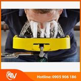  Bồn rửa mắt khẩn cấp Proguard 