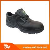  Giày Bảo Hộ Dragon 2B 