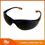  Kính bảo hộ Everest EV202 