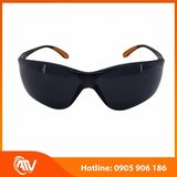  Kính bảo hộ Everest EV202 
