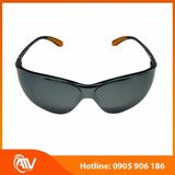  Kính bảo hộ Everest EV204 