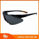  Kính bảo hộ Everest EV204 