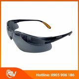  Kính bảo hộ Everest EV204 