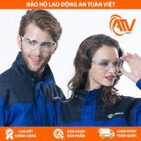  Kính bảo hộ Safegear P9005Y 