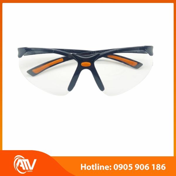  Kính bảo hộ Everest EV301 