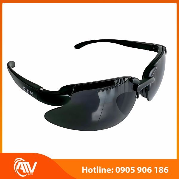  Kính bảo hộ Everest EV902 