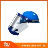  Mặt nạ hồ quang điện BLUE EAGLE FCA8 