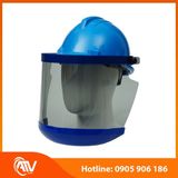  Mặt nạ hồ quang điện BLUE EAGLE FCA8 