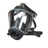  Mặt nạ thở MSA 10202909 