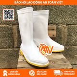  Ủng Cao Su TGP Màu Trắng - Đế Vàng 