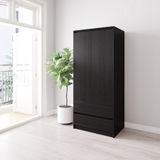  HAPPY FURNITURE , Tủ treo quần áo 2 ngăn kéo - SALY , TCM_011 , 80cm x 52cm x 180cm 