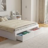  HAPPY FURNITURE ,  Giường ngủ 2 ngăn kéo - CIRCLE , GNG_085 GNG_086 GNG_087 GNG_088 , 207cm x 35cm 