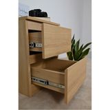  HAPPY FURNITURE , Táp đầu giường 2 hộc kéo - DOOBIE , THK_002 , 40cm x 48cm x 55cm 