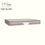  HAPPY FURNITURE, Giường ngủ 2 ngăn kéo - PONIX, GNG_110 GNG_111 GNG_112 GNG_113, 203cm x 25cm 