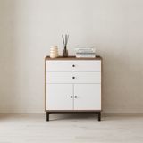  HAPPY FURNITURE , Tủ lưu trữ 2 ngăn kéo 2 cánh mở- LIVIK, TLT_054 , 70cm x 40cm x 76cm DxRxC 