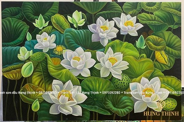 Hình ảnh bài viết