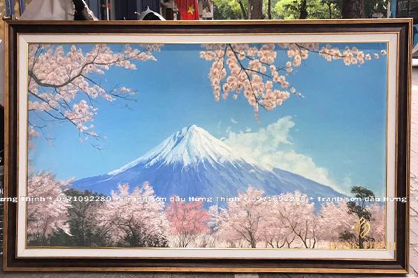 Hình ảnh bài viết