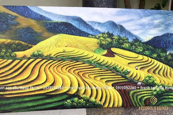 Hình ảnh bài viết