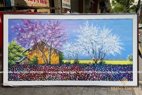 Hình ảnh bài viết