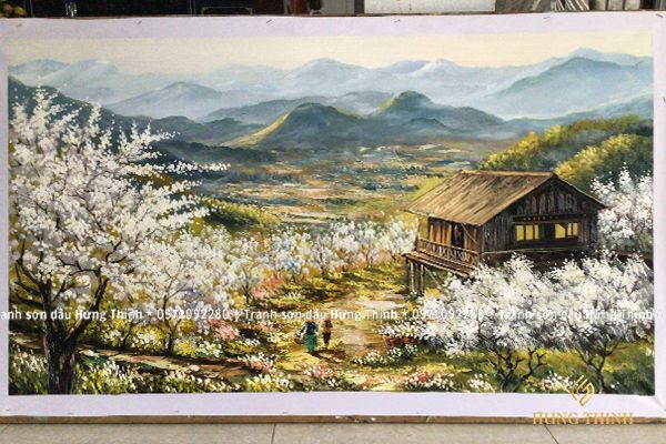 Hình ảnh bài viết