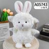 A05743