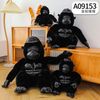 A09153